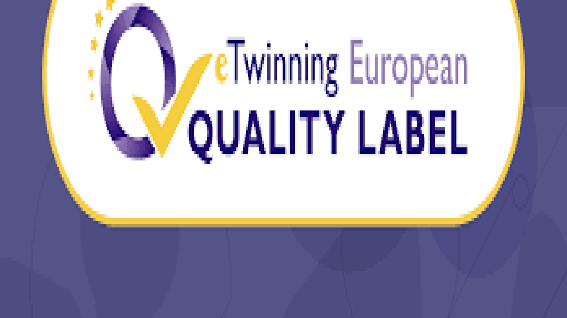 E-Twening Projesi Avrupa etiketi
